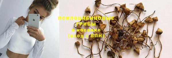 Альфа ПВП Богородск