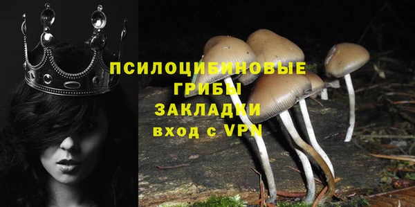 Альфа ПВП Богородск