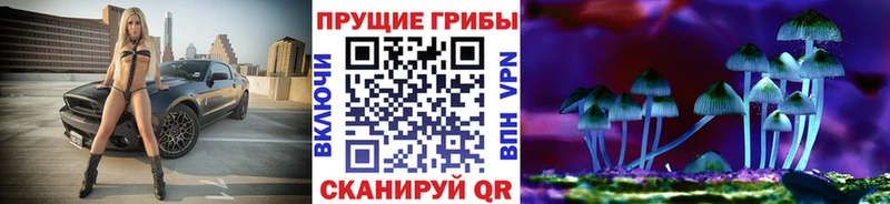 Галлюциногенные грибы MAGIC MUSHROOMS  что такое наркотик  Мценск 